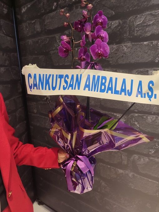 Fuþya Orkide | Tüyap Fuar Alaný Ýçin Zarif ve Canlý Çiçek
